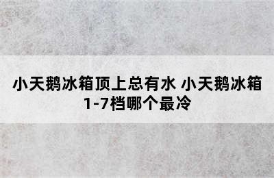 小天鹅冰箱顶上总有水 小天鹅冰箱1-7档哪个最冷